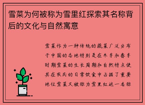 雪菜为何被称为雪里红探索其名称背后的文化与自然寓意 雪菜为何被称为雪里红探索其名称背后的文化与自然寓意